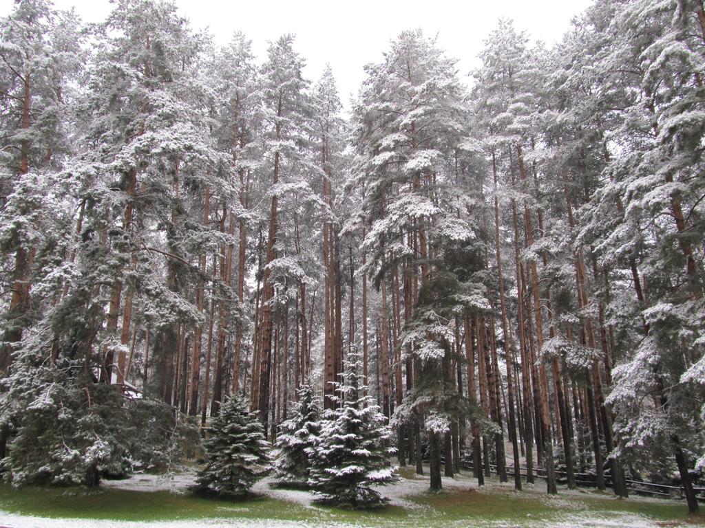 Apartments Markoni Zlatibor Kültér fotó