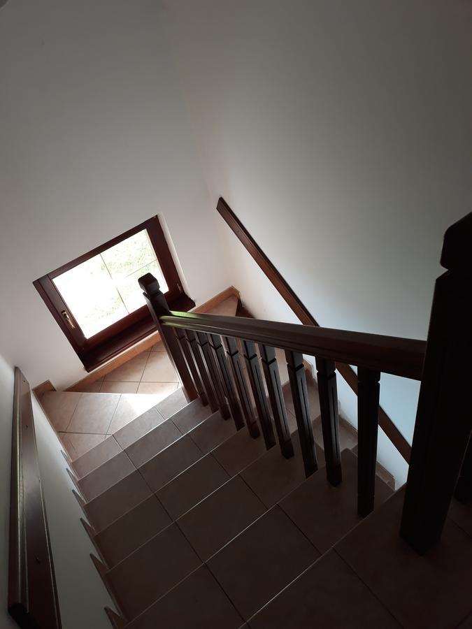 Apartments Markoni Zlatibor Kültér fotó